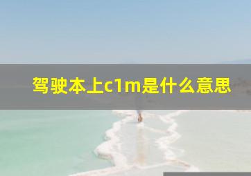 驾驶本上c1m是什么意思