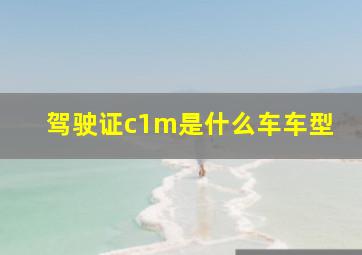 驾驶证c1m是什么车车型