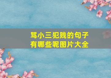 骂小三犯贱的句子有哪些呢图片大全