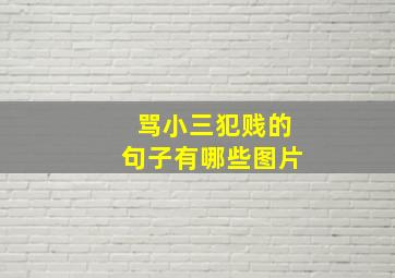 骂小三犯贱的句子有哪些图片