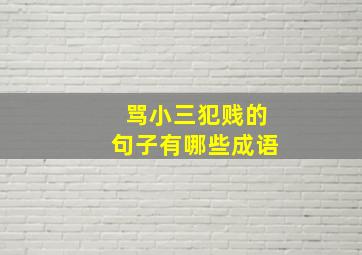 骂小三犯贱的句子有哪些成语