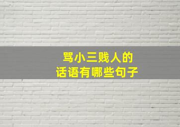 骂小三贱人的话语有哪些句子