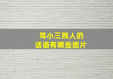 骂小三贱人的话语有哪些图片