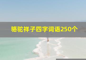 骆驼祥子四字词语250个