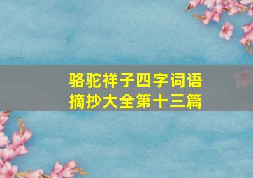 骆驼祥子四字词语摘抄大全第十三篇