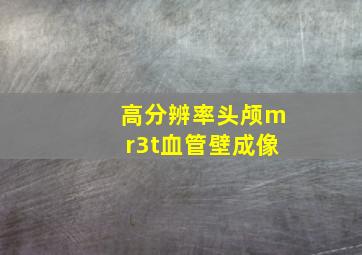 高分辨率头颅mr3t血管壁成像