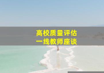 高校质量评估一线教师座谈