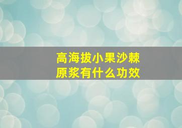 高海拔小果沙棘原浆有什么功效