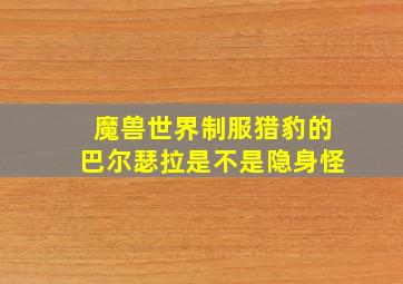 魔兽世界制服猎豹的巴尔瑟拉是不是隐身怪