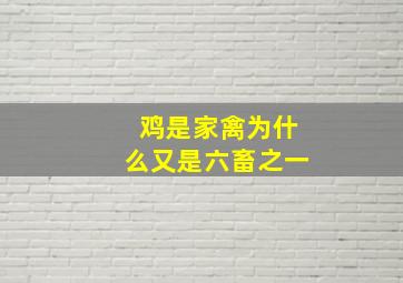 鸡是家禽为什么又是六畜之一