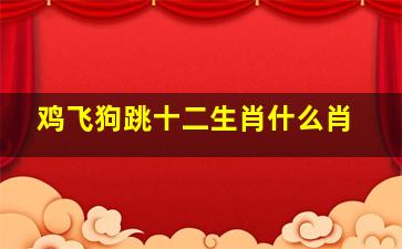 鸡飞狗跳十二生肖什么肖