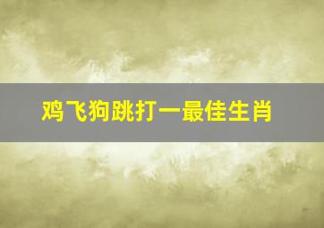 鸡飞狗跳打一最佳生肖