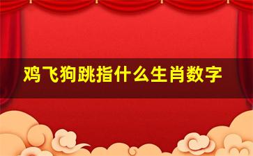 鸡飞狗跳指什么生肖数字