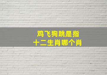 鸡飞狗跳是指十二生肖哪个肖