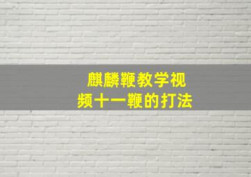 麒麟鞭教学视频十一鞭的打法