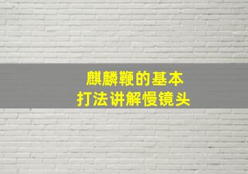 麒麟鞭的基本打法讲解慢镜头