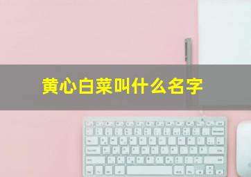 黄心白菜叫什么名字