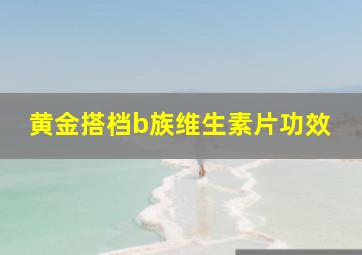 黄金搭档b族维生素片功效