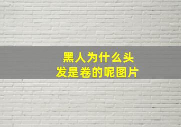 黑人为什么头发是卷的呢图片