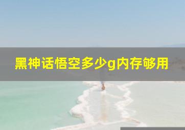 黑神话悟空多少g内存够用