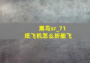 黑鸟sr_71纸飞机怎么折能飞