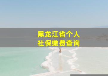 黑龙江省个人社保缴费查询