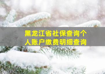 黑龙江省社保查询个人账户缴费明细查询