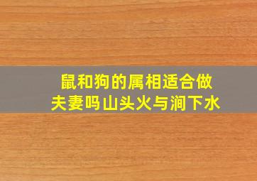 鼠和狗的属相适合做夫妻吗山头火与涧下水