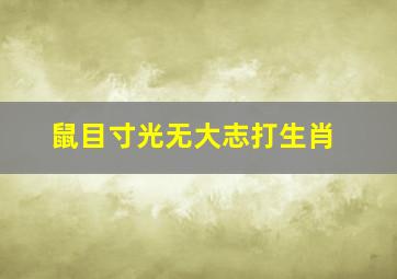 鼠目寸光无大志打生肖