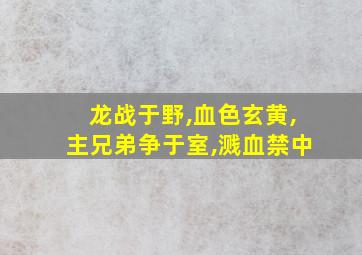 龙战于野,血色玄黄,主兄弟争于室,溅血禁中