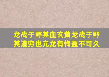 龙战于野其血玄黄龙战于野其道穷也亢龙有悔盈不可久