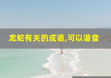 龙蛇有关的成语,可以谐音