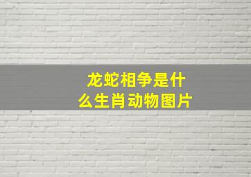 龙蛇相争是什么生肖动物图片