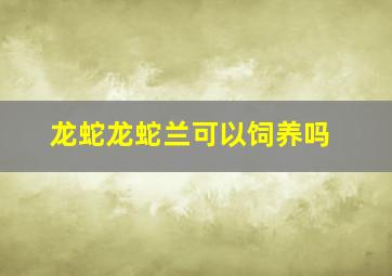 龙蛇龙蛇兰可以饲养吗